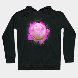 wonderful rose in pink, roses, flower, blossom Hoodie